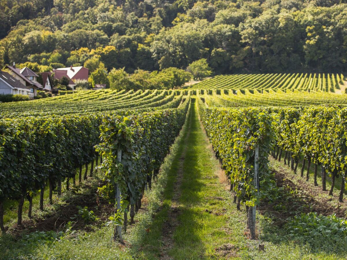 Apartment Appartement/Fewo, Dusche und Bad, WC, 1 Schlafraum - Outdoor photo 3
