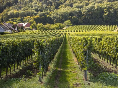 Apartment Appartement/Fewo, Dusche und Bad, WC, 1 Schlafraum - Outdoor photo 3