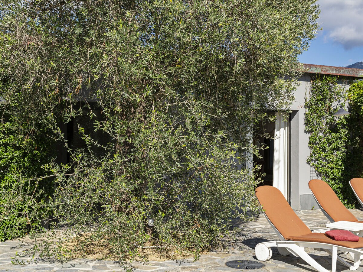 Villa Villa San Massimo - Outdoor photo 3