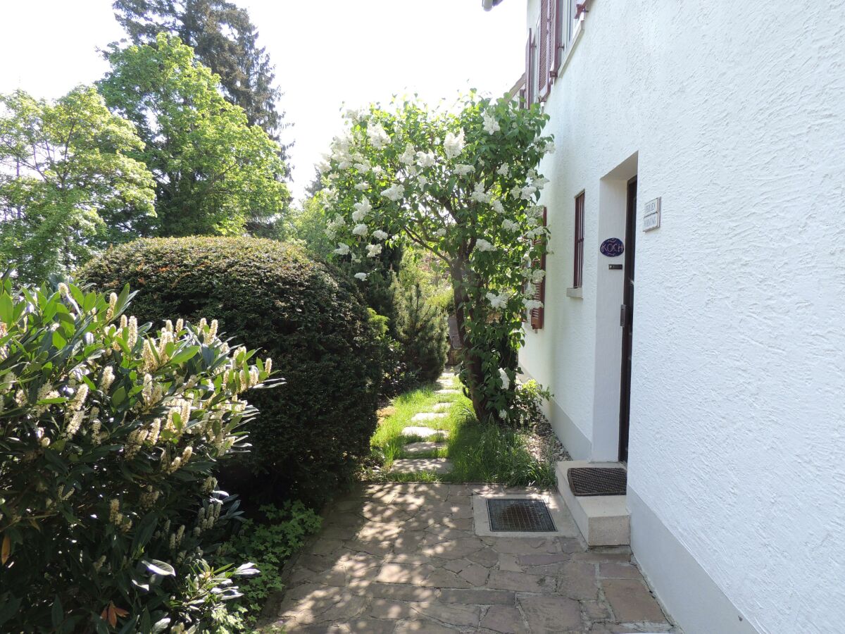 Apartment Ferienwohnung Am Nollenhang