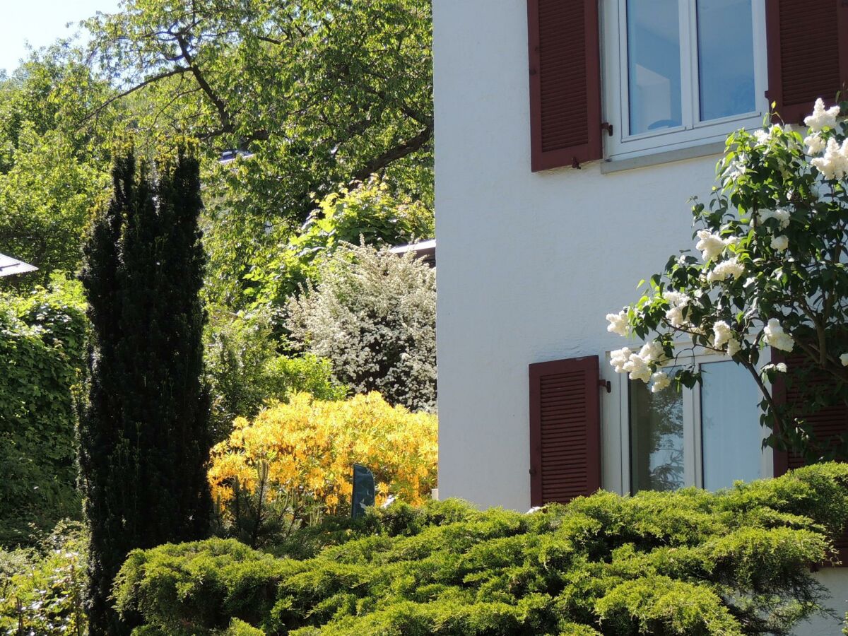 Apartment Ferienwohnung Am Nollenhang - Outdoor photo 2