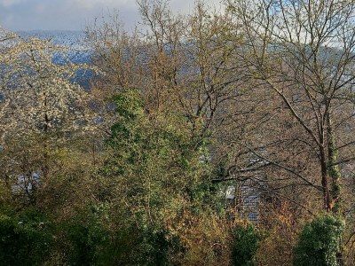 Apartment Ferienwohnung Am Nollenhang - Outdoor photo 10