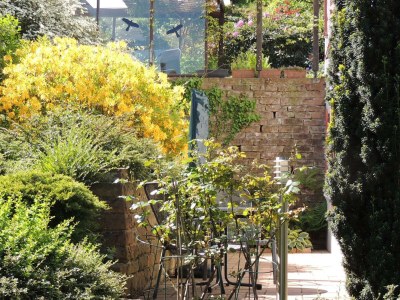 Apartment Ferienwohnung Am Nollenhang - Features photo 24