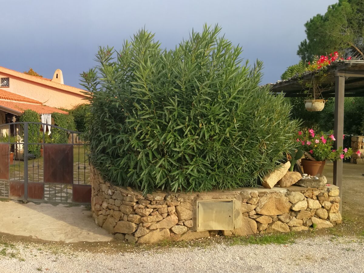 Holiday house Agrustos mare - Outdoor photo 2