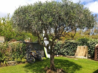 Holiday house Agrustos mare - Outdoor photo 10