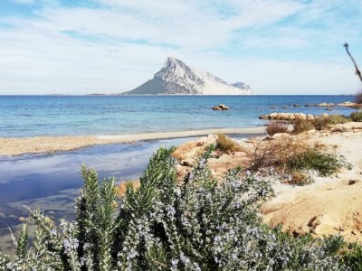 Holiday house Agrustos mare - Environment photo 26