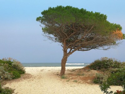 Holiday house Agrustos mare - Environment photo 27