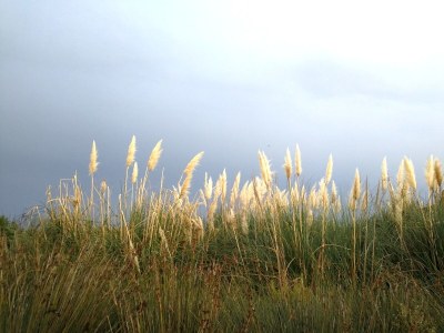 Holiday house Agrustos mare - Environment photo 30