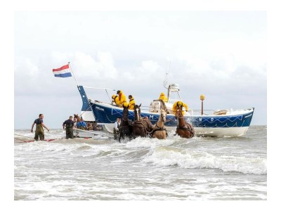 Holiday apartment Sanne - Environment photo 30