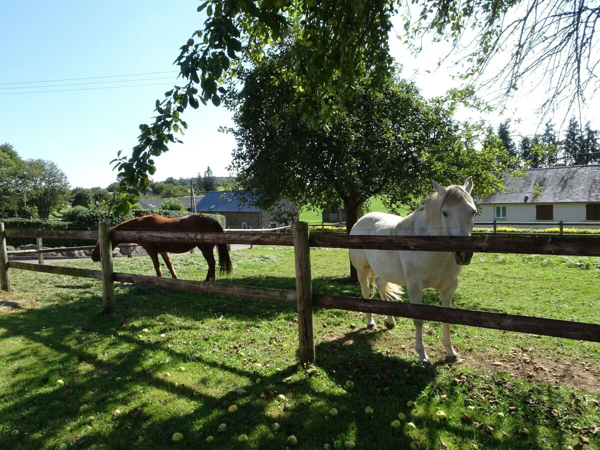 Holiday house Country House near Mont St. Michel - Outdoor photo 4