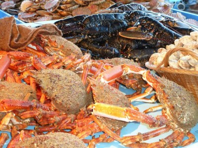 Holiday house Country House near Mont St. Michel - Environment photo 29