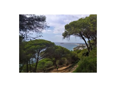 Holiday house 0535 Casa Alegría - Environment photo 24