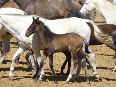 Holiday house 0535 Casa Alegría - Environment photo 31