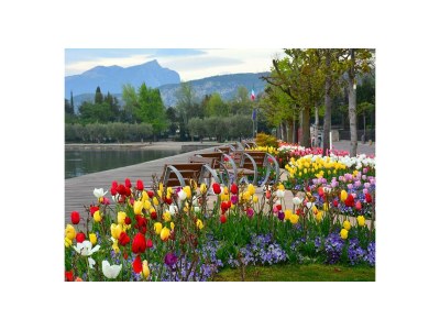 Holiday apartment Rambaldi Apartments Ed.1 - Environment photo 23