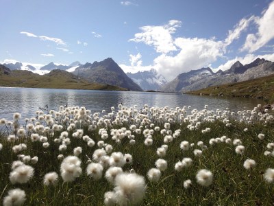 Holiday apartment in the Chalet Stefanino - Environment photo 30