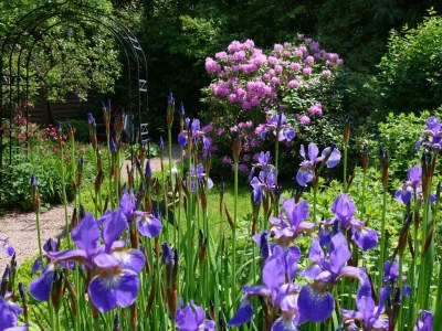 Apartment Ferienwohnung Preziosa - Outdoor photo 16