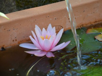 Apartment Ferienwohnung Preziosa - Outdoor photo 23