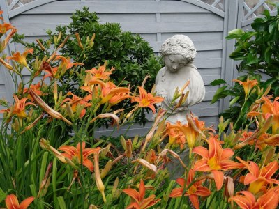 Apartment Ferienwohnung Preziosa - Features photo 33