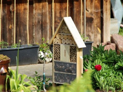 Apartment Ferienwohnung Am Burebersch - Outdoor photo 19