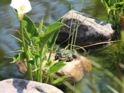 Apartment Ferienwohnung Am Burebersch - Outdoor photo 27