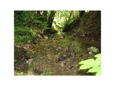 Apartment Ferienwohnung Am Burebersch - Outdoor photo 29