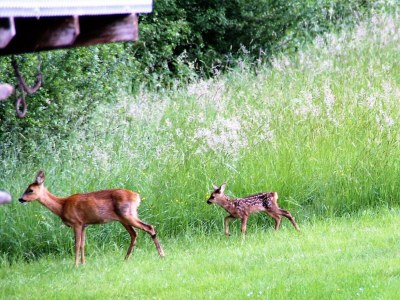 Apartment Ferienwohnung Am Burebersch - Outdoor photo 31