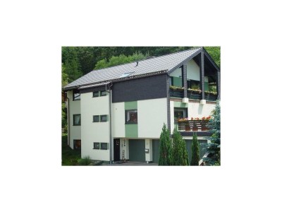 Apartment 4-Bettwohnung Grobe F**** in Idar-Oberstein / Weierbach - Apartment