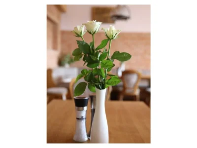 Holiday room Einzelzimmer, Dusche, WC, Nichtraucher - Outdoor photo 7