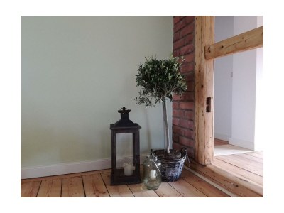 Apartment Ferienwohnung Hahnenmühle - Outdoor photo 3