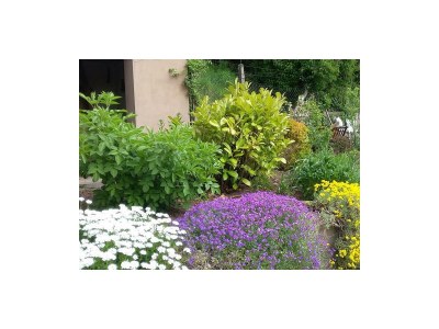 Apartment Ferienwohnung Hahnenmühle - Outdoor photo 18