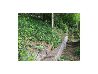 Apartment Ferienwohnung Hahnenmühle - Outdoor photo 19