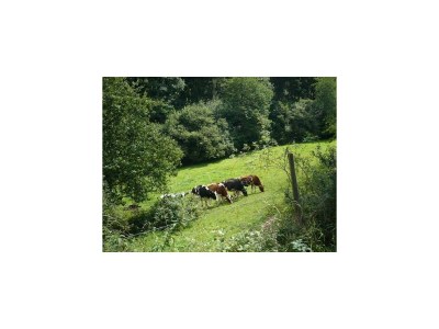 Apartment Ferienwohnung Meindl 3 F**** - Outdoor photo 3