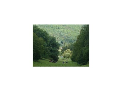 Apartment Ferienwohnung Meindl 3 F**** - Outdoor photo 4