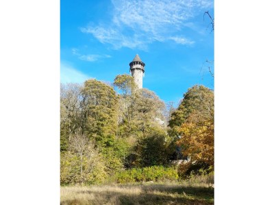 Apartment Ferienhaus Monika - Outdoor photo 15