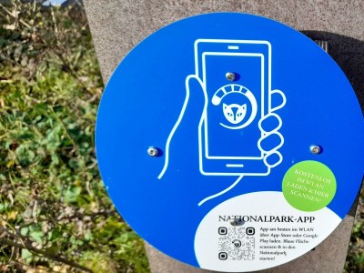 Apartment Ferienhaus Monika - Outdoor photo 18