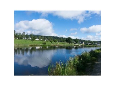 Apartment Ferienhaus zum Weiher - Outdoor photo 8