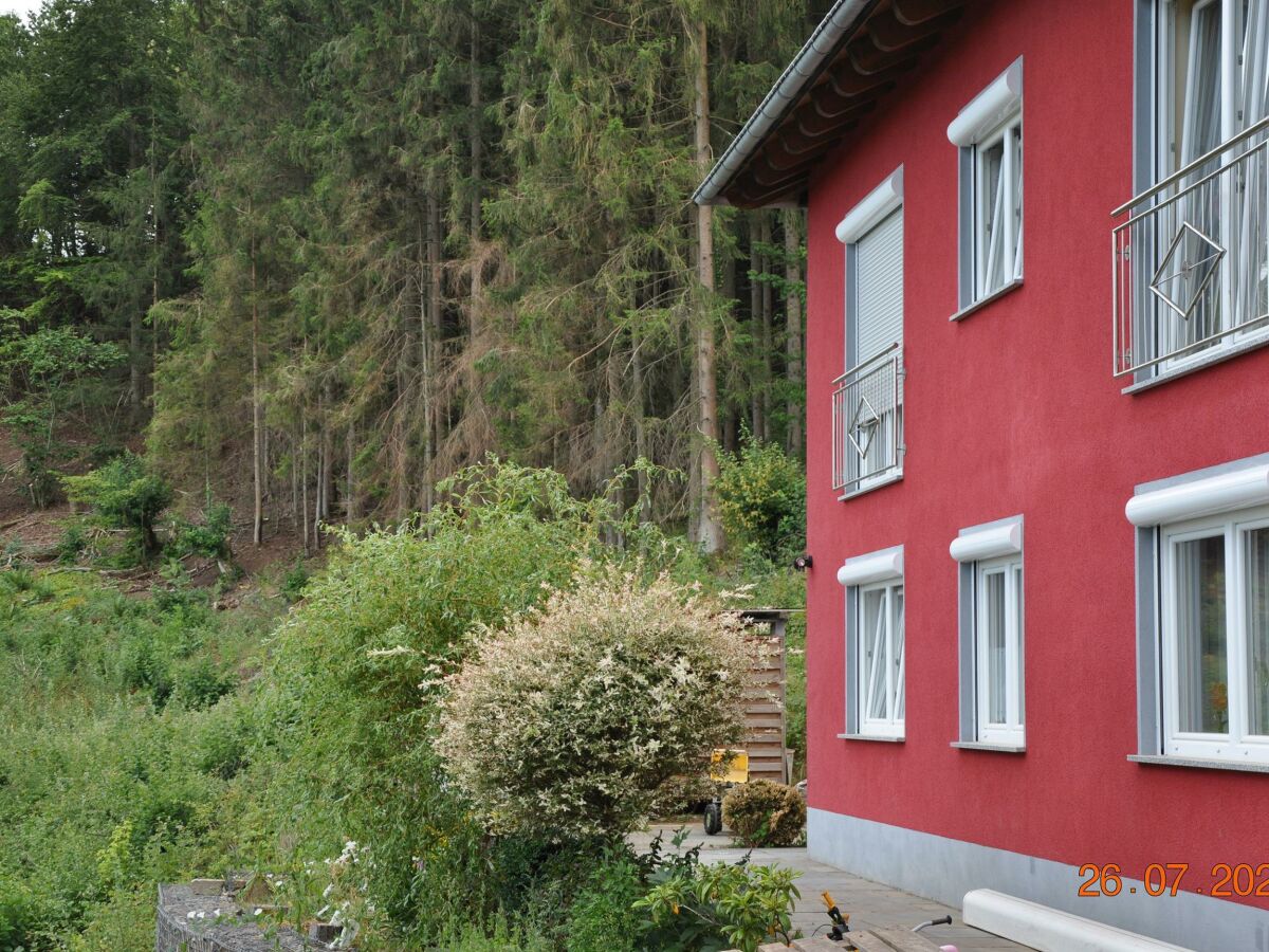 Apartment Ferienwohnung Idarblick - Outdoor photo 4