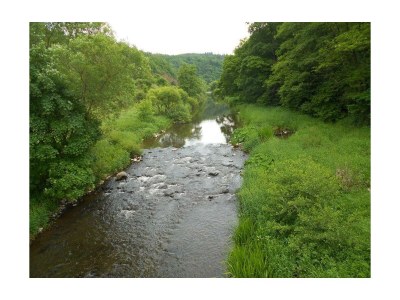 Apartment Ferienwohnung  Keßler F**** - Outdoor photo 13