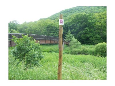 Apartment Ferienwohnung  Keßler F**** - Outdoor photo 14