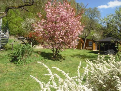 Apartment FeWo Schmell 4-Bettwohnung (EG links)   F **** - Outdoor photo 9