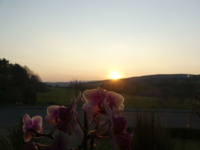 Apartment Fewo Sophia in Idar Oberstein - Apartment