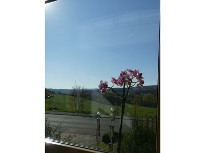 Apartment Fewo Sophia - Outdoor photo 19