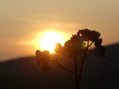 Apartment Fewo Sophia - Outdoor photo 23