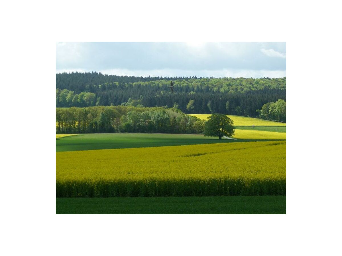 Apartment Ferienwohnung Idarwald - Outdoor photo 2