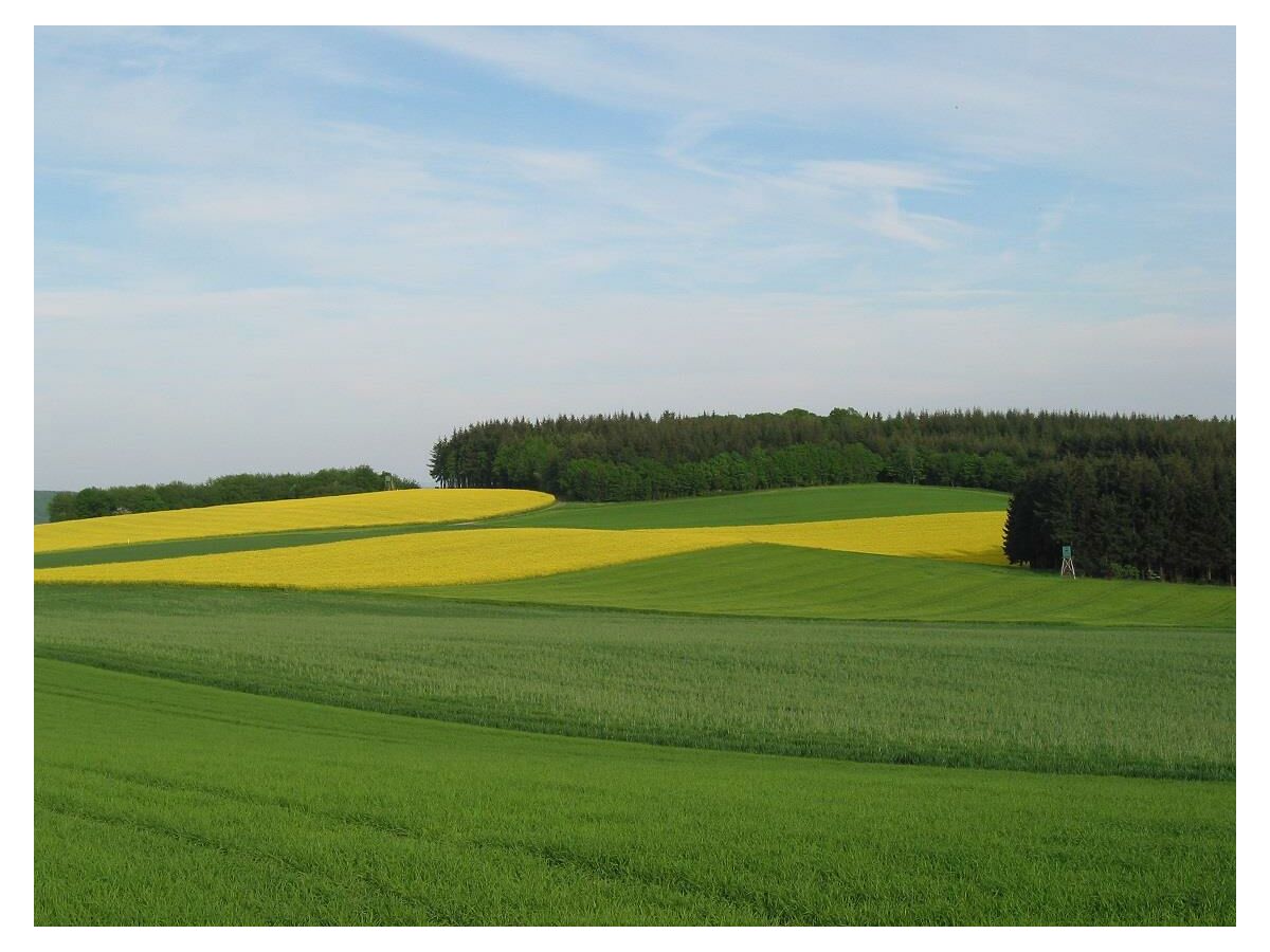 Apartment Ferienwohnung Idarwald - Outdoor photo 5