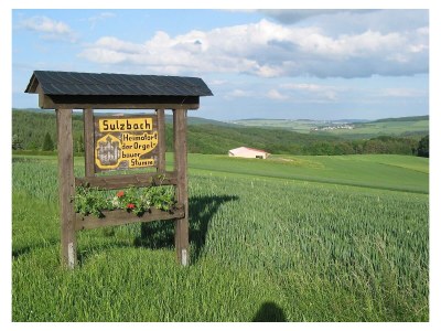 Apartment Ferienwohnung Idarwald - Outdoor photo 3