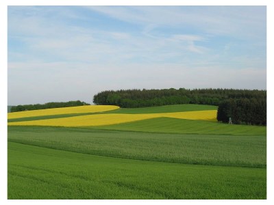 Apartment Ferienwohnung Idarwald - Outdoor photo 5