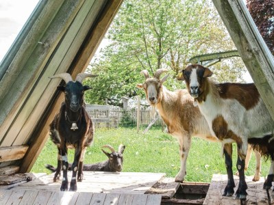 Apartment Ferienwohnung Idarwald - Outdoor photo 15