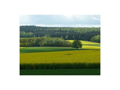 Apartment Ferienwohnung Soonwald - Outdoor photo 3