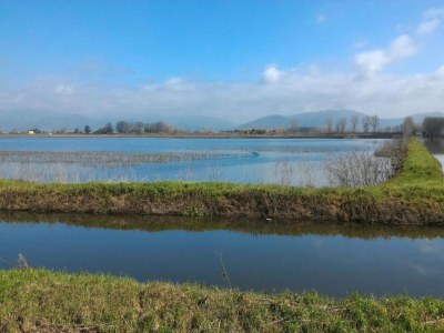 Apartment Wohnung in der Toskana bei Florenz - Environment photo 16